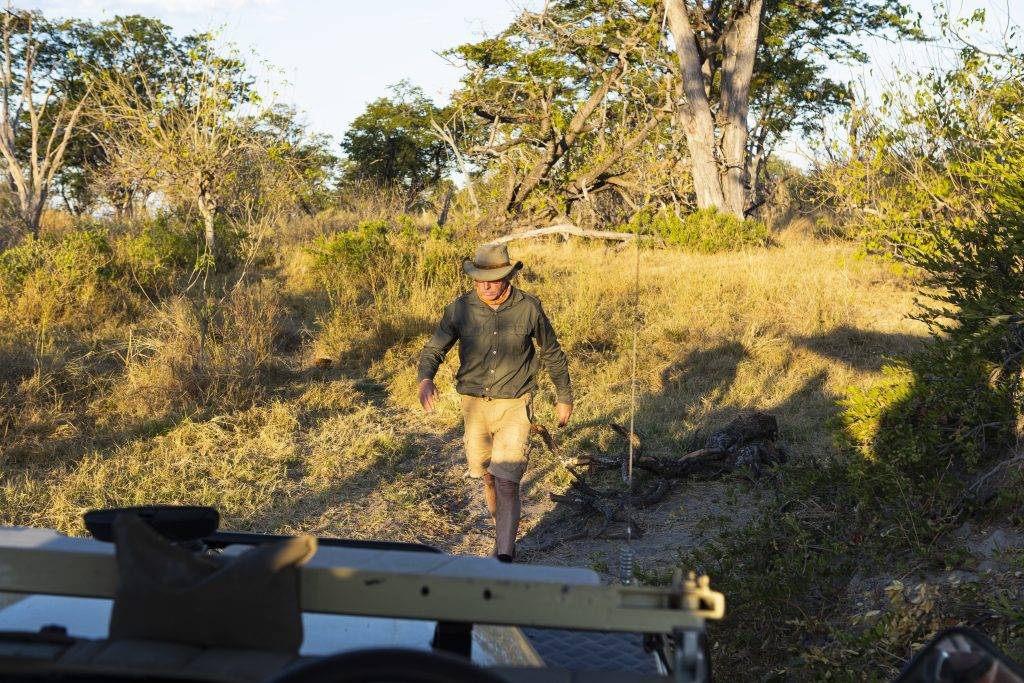 A safari guide looking at animal tracks on the ground.