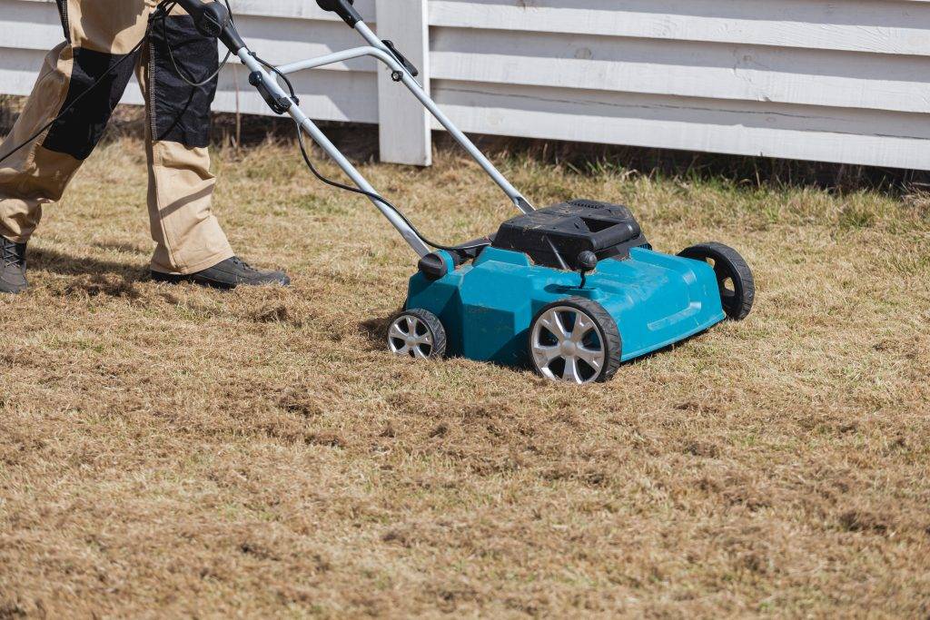 Scarifying lawn with scarifier, Man gardener scarifies the lawn and removal of old grass