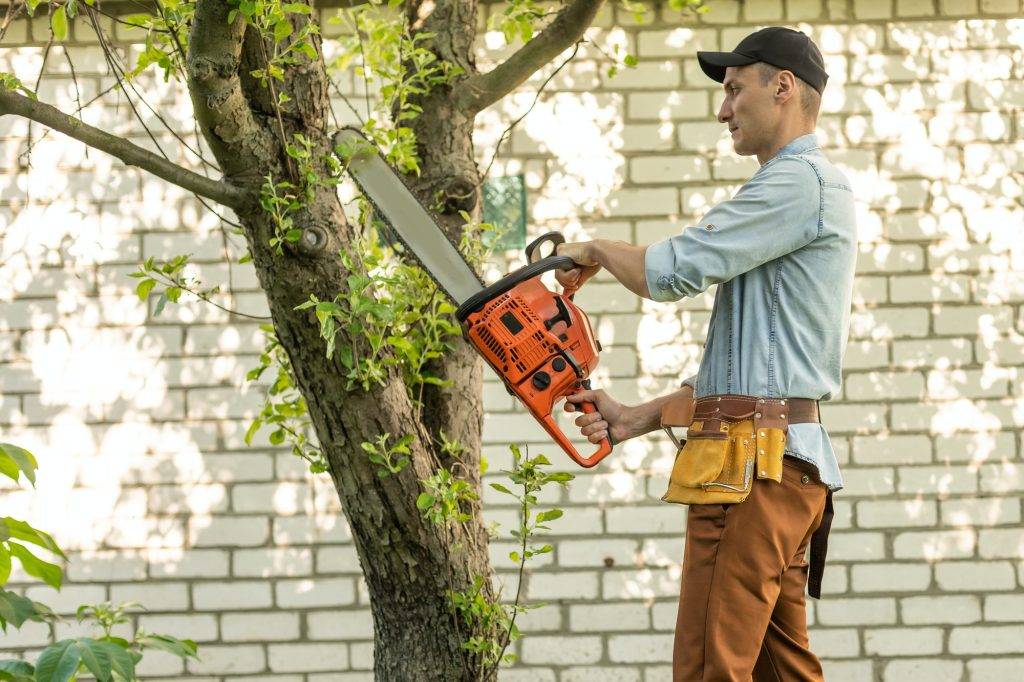 Man cutting a branch with chainsaw