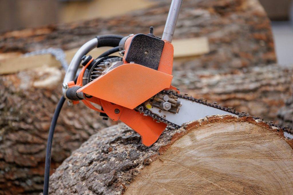 Woodcutter saws tree with electric chain saw on sawmill.